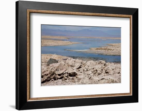 In the Atacama Desert Is the National Reserve of Atacama Salt Lake-Mallorie Ostrowitz-Framed Photographic Print