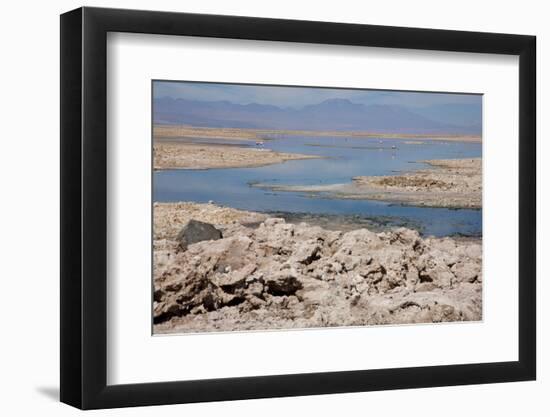 In the Atacama Desert Is the National Reserve of Atacama Salt Lake-Mallorie Ostrowitz-Framed Photographic Print