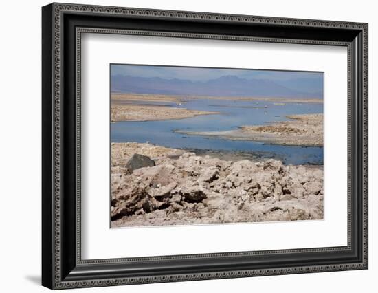 In the Atacama Desert Is the National Reserve of Atacama Salt Lake-Mallorie Ostrowitz-Framed Photographic Print