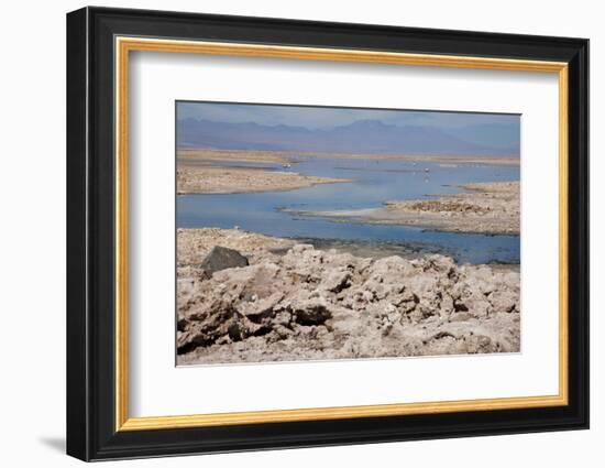 In the Atacama Desert Is the National Reserve of Atacama Salt Lake-Mallorie Ostrowitz-Framed Photographic Print