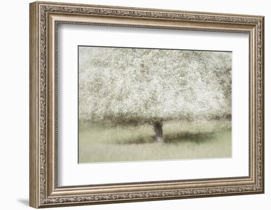 In the backyard-Nel Talen-Framed Photographic Print