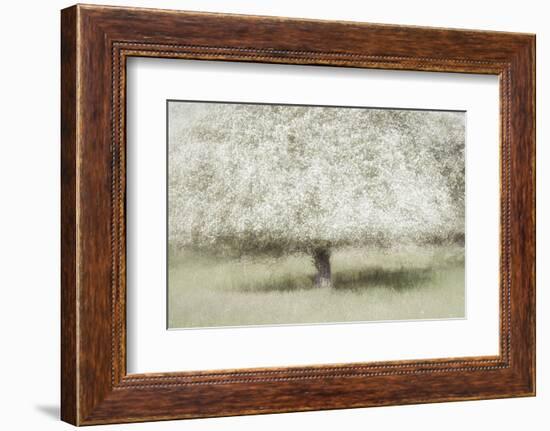 In the backyard-Nel Talen-Framed Photographic Print