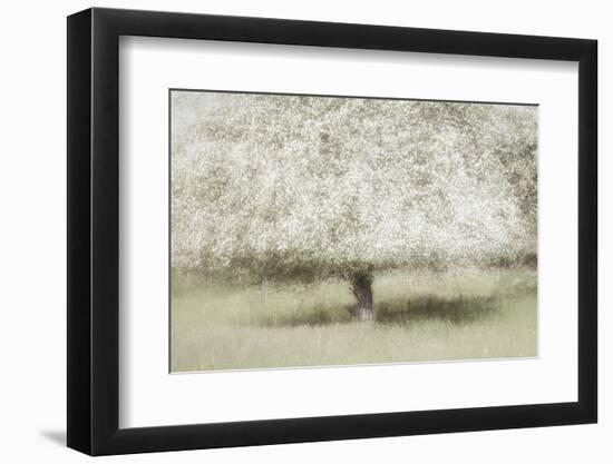 In the backyard-Nel Talen-Framed Photographic Print