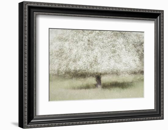 In the backyard-Nel Talen-Framed Photographic Print