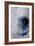 In the Beginning II-Joshua Schicker-Framed Giclee Print