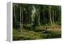 In the Birch Tree Forest, 1883-Ivan Ivanovitch Shishkin-Framed Premier Image Canvas