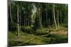 In the Birch Tree Forest, 1883-Ivan Ivanovitch Shishkin-Mounted Giclee Print
