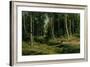 In the Birch Tree Forest, 1883-Ivan Ivanovitch Shishkin-Framed Giclee Print