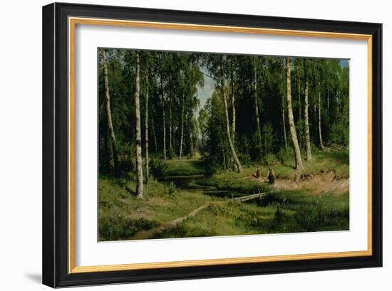 In the Birch Tree Forest, 1883-Ivan Ivanovitch Shishkin-Framed Giclee Print