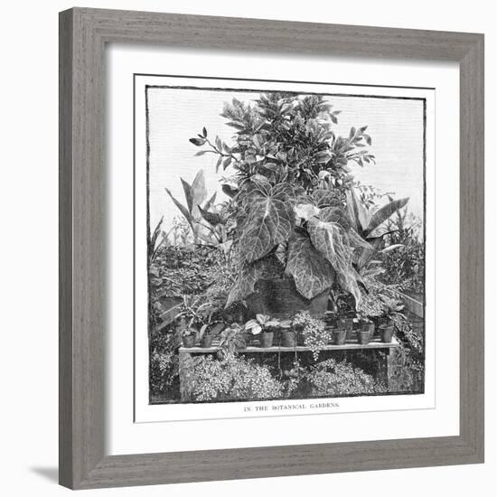 In the Botanical Gardens, 1886-null-Framed Giclee Print