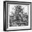 In the Botanical Gardens, 1886-null-Framed Giclee Print