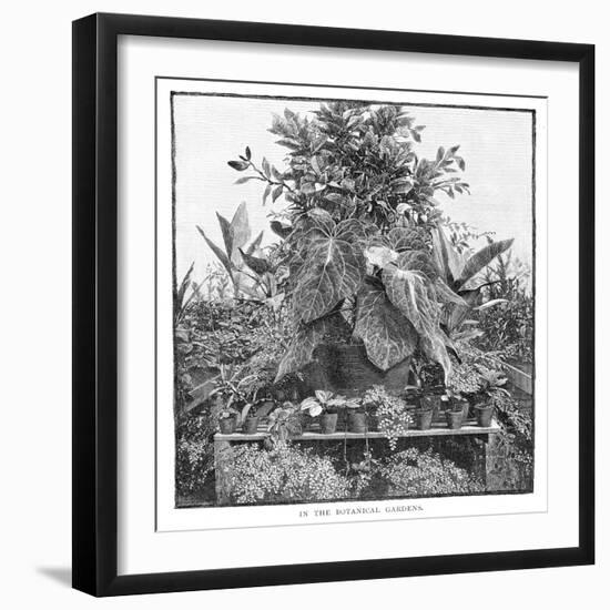 In the Botanical Gardens, 1886-null-Framed Giclee Print