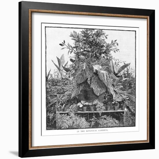 In the Botanical Gardens, 1886-null-Framed Giclee Print