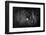 In the Bowels of the Mountain-Bw-Vito Guarino-Framed Photographic Print