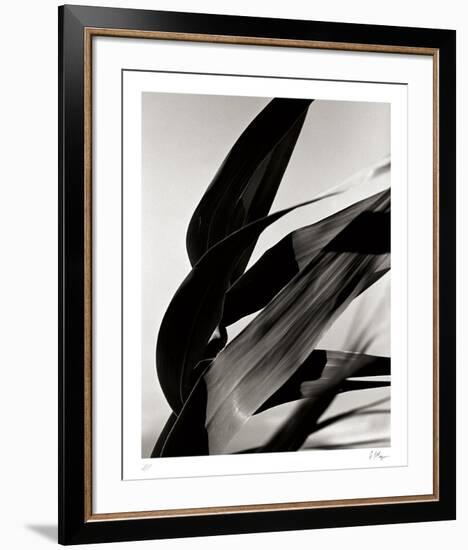 In the Breeze-Andrew Geiger-Framed Collectable Print