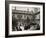 In the Court of Ponce De Leon, St. Augustine, Florida-null-Framed Photo