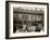 In the Court of the Ponce De Leon, St. Augustine, Fla.-null-Framed Photo