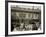 In the Court of the Ponce De Leon, St. Augustine, Fla.-null-Framed Photo