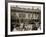 In the Court of the Ponce De Leon, St. Augustine, Fla.-null-Framed Photo