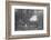 In The Coverts, c1902, (1903)-Charles Reid-Framed Photographic Print