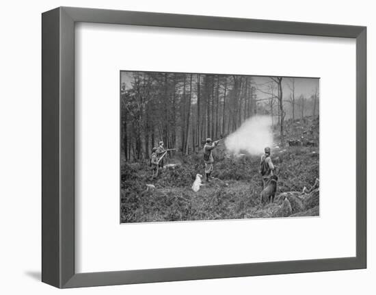 In The Coverts, c1902, (1903)-Charles Reid-Framed Photographic Print