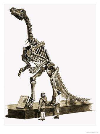 riley black last days of the dinosaurs riley black last days of the dinosaurs