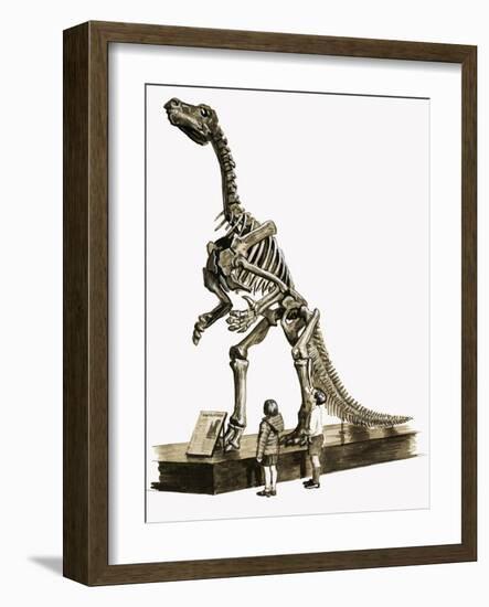 In the Days of the Dinosaurs: A Hundred Million Year Old Mystery-Roger Payne-Framed Giclee Print