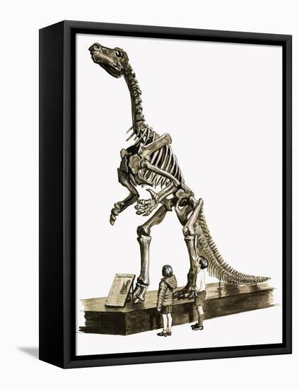 In the Days of the Dinosaurs: A Hundred Million Year Old Mystery-Roger Payne-Framed Premier Image Canvas