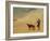 In the Desert-Jean Leon Gerome-Framed Giclee Print