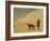 In the Desert-Jean Leon Gerome-Framed Giclee Print