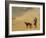 In the Desert-Jean Leon Gerome-Framed Giclee Print