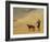 In the Desert-Jean Leon Gerome-Framed Giclee Print