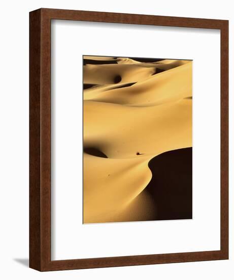 In the Dunes 1-Design Fabrikken-Framed Photographic Print