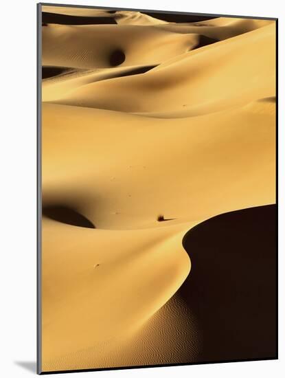 In the Dunes 1-Design Fabrikken-Mounted Photographic Print