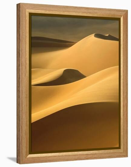 In the Dunes 3-Design Fabrikken-Framed Premier Image Canvas