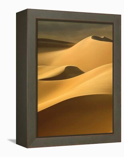 In the Dunes 3-Design Fabrikken-Framed Premier Image Canvas