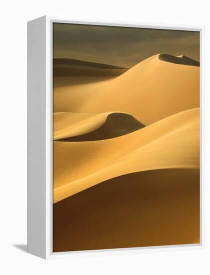 In the Dunes 3-Design Fabrikken-Framed Premier Image Canvas