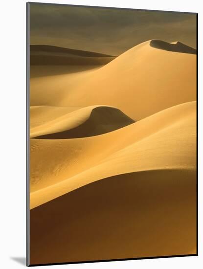 In the Dunes 3-Design Fabrikken-Mounted Photographic Print