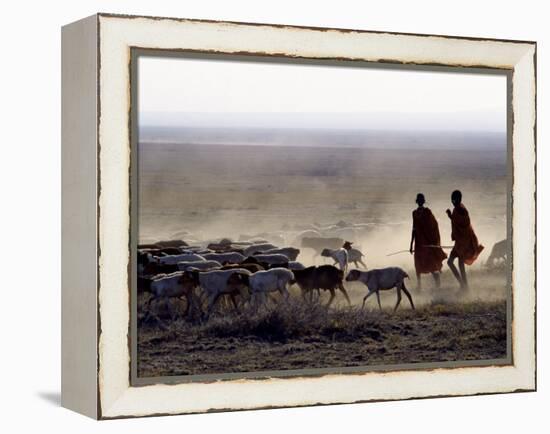 In the Early Morning, a Maasai Herdsboy and His Sister Drive their Flock of Sheep across the Dusty -Nigel Pavitt-Framed Premier Image Canvas