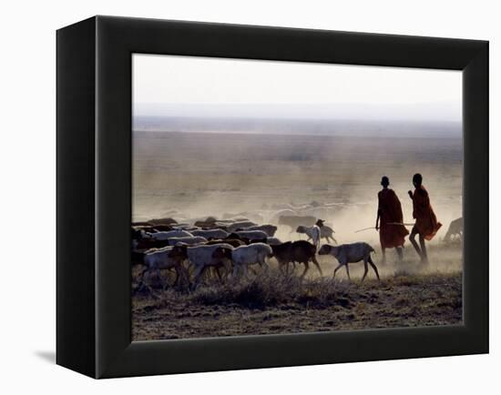 In the Early Morning, a Maasai Herdsboy and His Sister Drive their Flock of Sheep across the Dusty -Nigel Pavitt-Framed Premier Image Canvas