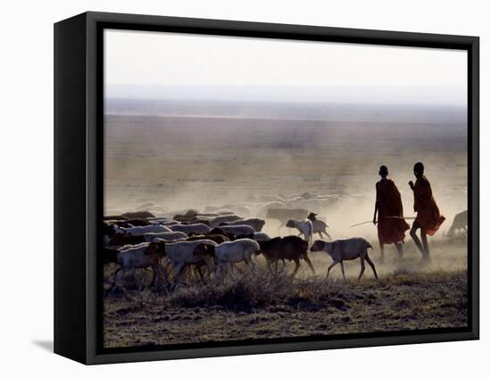 In the Early Morning, a Maasai Herdsboy and His Sister Drive their Flock of Sheep across the Dusty -Nigel Pavitt-Framed Premier Image Canvas