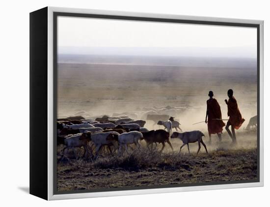 In the Early Morning, a Maasai Herdsboy and His Sister Drive their Flock of Sheep across the Dusty -Nigel Pavitt-Framed Premier Image Canvas