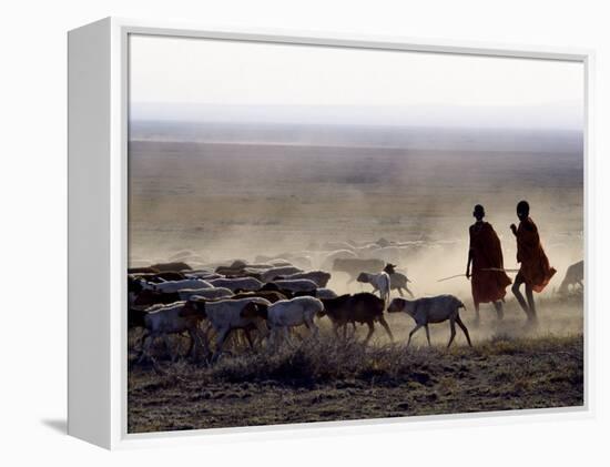 In the Early Morning, a Maasai Herdsboy and His Sister Drive their Flock of Sheep across the Dusty -Nigel Pavitt-Framed Premier Image Canvas