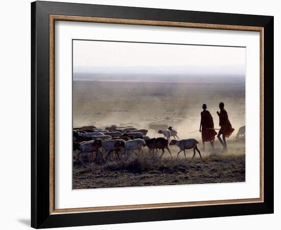 In the Early Morning, a Maasai Herdsboy and His Sister Drive their Flock of Sheep across the Dusty -Nigel Pavitt-Framed Photographic Print