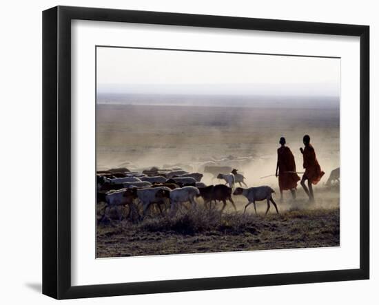 In the Early Morning, a Maasai Herdsboy and His Sister Drive their Flock of Sheep across the Dusty -Nigel Pavitt-Framed Photographic Print