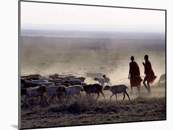 In the Early Morning, a Maasai Herdsboy and His Sister Drive their Flock of Sheep across the Dusty -Nigel Pavitt-Mounted Photographic Print