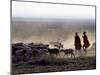 In the Early Morning, a Maasai Herdsboy and His Sister Drive their Flock of Sheep across the Dusty -Nigel Pavitt-Mounted Photographic Print