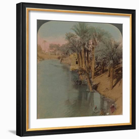 'In the Fayum, the richest Oasis in Egypt on Bahr Yussef (River Joseph), to the Nile', 1902-Elmer Underwood-Framed Photographic Print