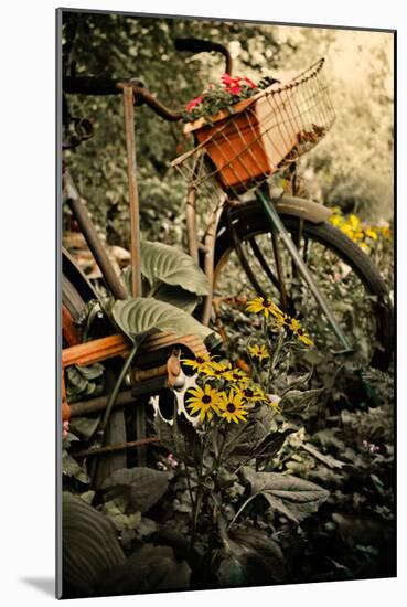 In the Fields I-Bruce Nawrocke-Mounted Photographic Print
