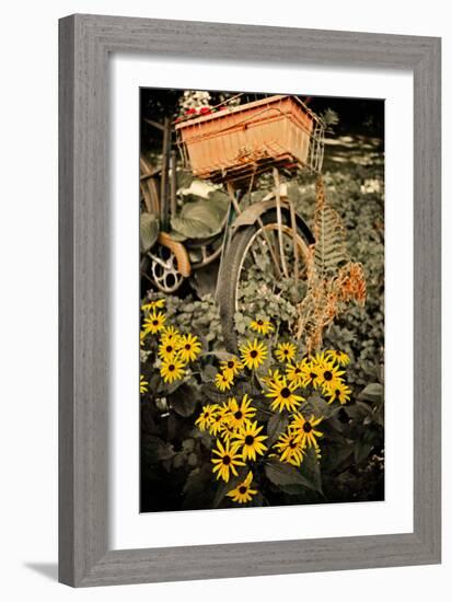 In the Fields II-Bruce Nawrocke-Framed Photographic Print